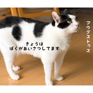 チャプター添付画像
