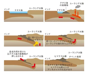 チャプター添付画像