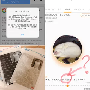 チャプター添付画像