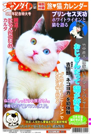 チャプター添付画像