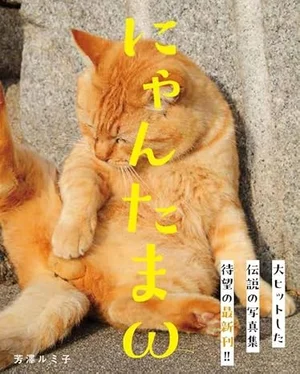チャプター添付画像