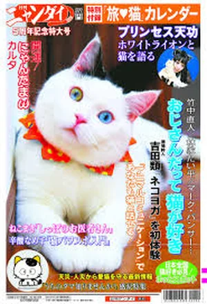 チャプター添付画像