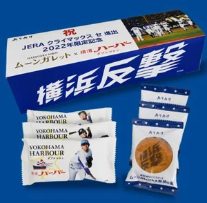チャプター添付画像