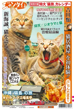 チャプター添付画像