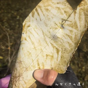 チャプター添付画像