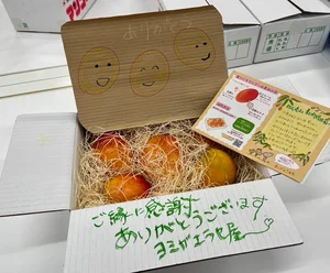チャプター添付画像