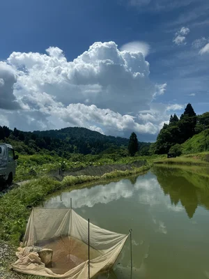 チャプター添付画像