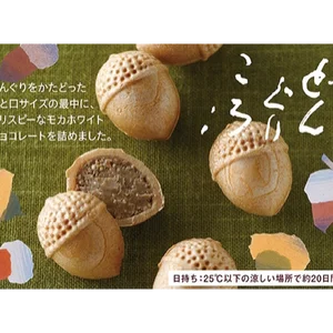 チャプター添付画像