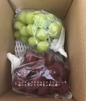 チャプター添付画像