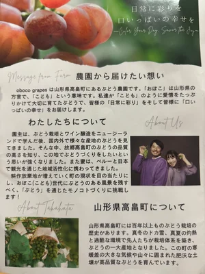 チャプター添付画像