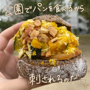 チャプター添付画像