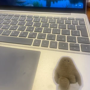 チャプター添付画像