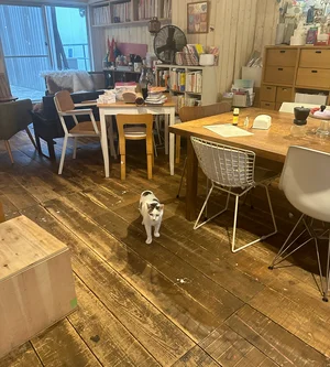 チャプター添付画像
