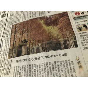 チャプター添付画像
