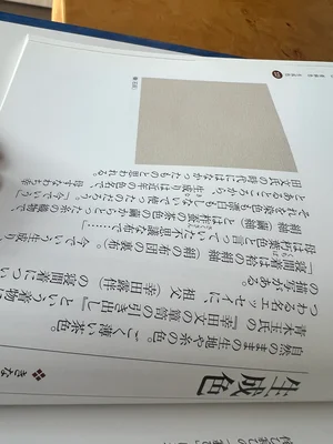 チャプター添付画像