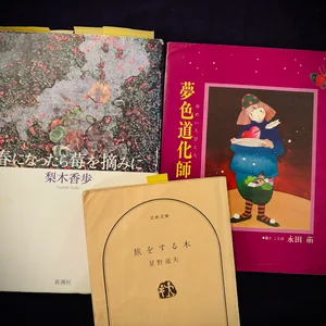 チャプター添付画像