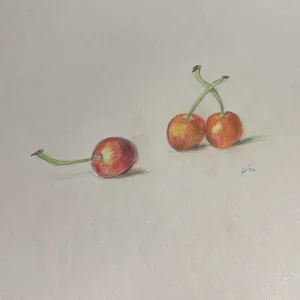 チャプター添付画像