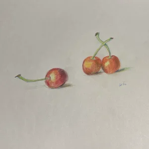 チャプター添付画像