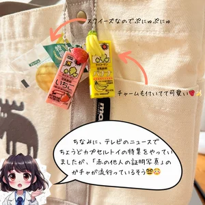 チャプター添付画像