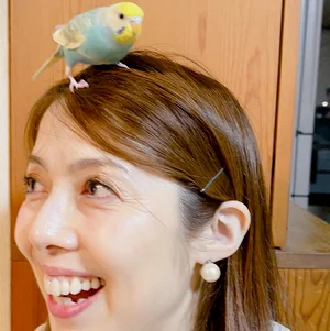 チャプター添付画像
