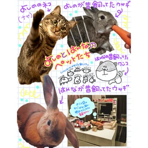 チャプター添付画像