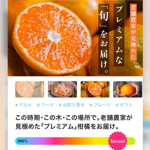 チャプター添付画像