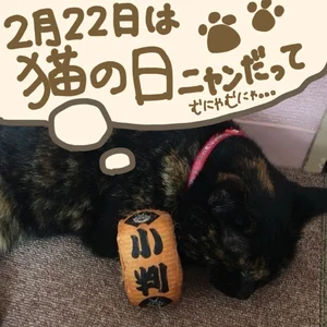 チャプター添付画像