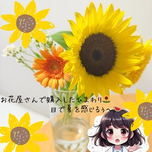 チャプター添付画像