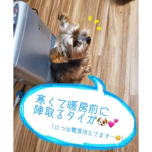 チャプター添付画像