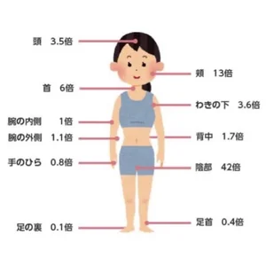 チャプター添付画像