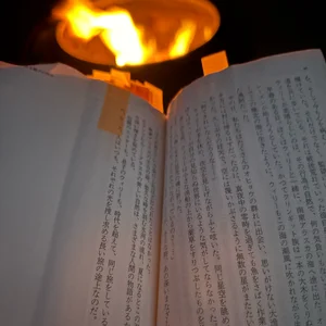 チャプター添付画像