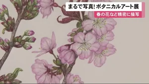 チャプター添付画像