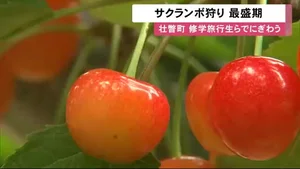 チャプター添付画像