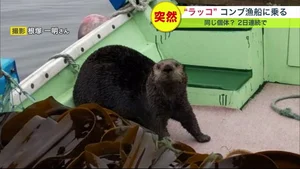 チャプター添付画像