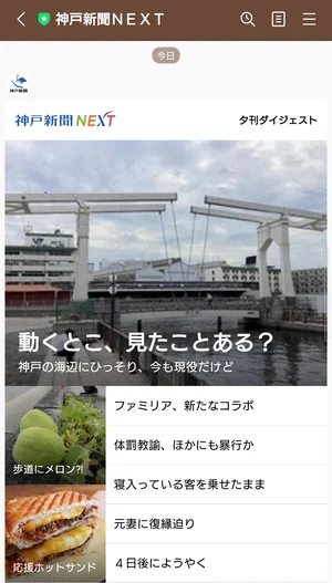 チャプター添付画像