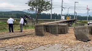 チャプター添付画像