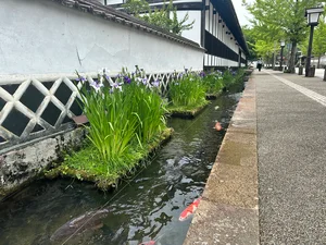 チャプター添付画像