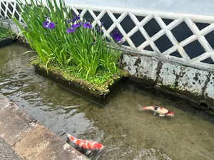 チャプター添付画像