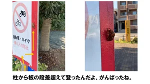 チャプター添付画像