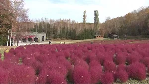 チャプター添付画像