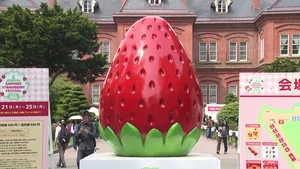 チャプター添付画像