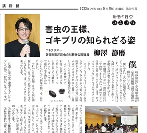 チャプター添付画像