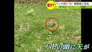チャプター添付画像