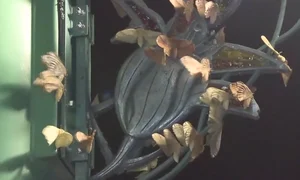 チャプター添付画像