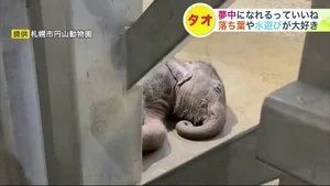チャプター添付画像
