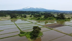 チャプター添付画像