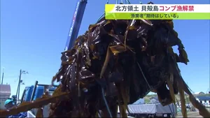 チャプター添付画像