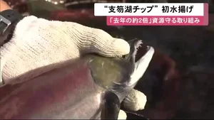 チャプター添付画像