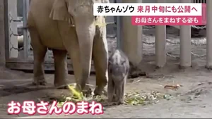 チャプター添付画像