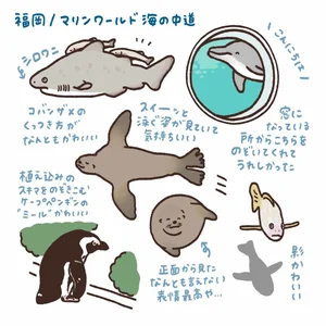 チャプター添付画像